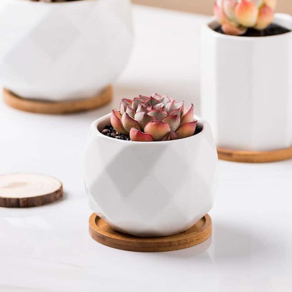 Kreativer weißer Blumentopf für Zimmerpflanzen 1